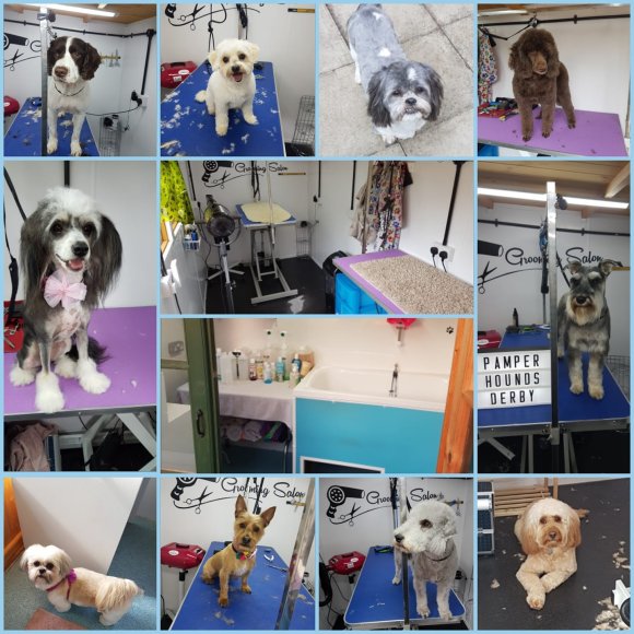 Pamper Hounds Dog Grooming Derby