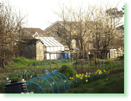 Picture of Shacklecross Allotments