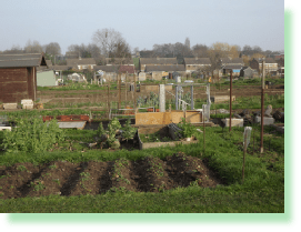 Picture of Elm Street Allotments